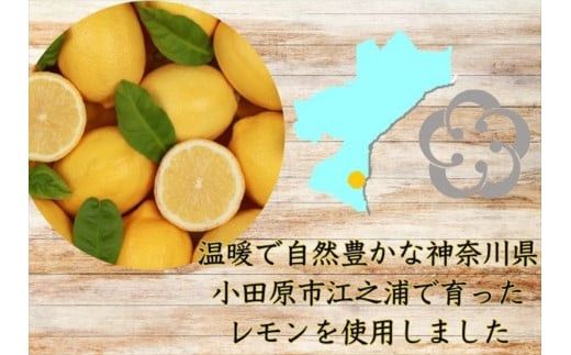 西湘菓子工房樫の樹　江ノ浦れもん10個入りギフト 【 お菓子 スイーツ 神奈川県 小田原市 】 142069_FT002