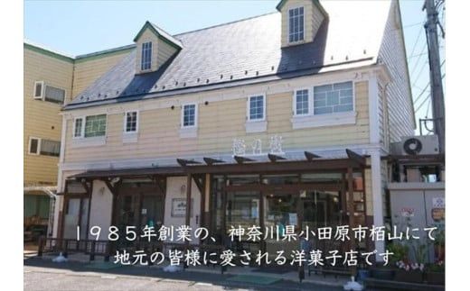 西湘菓子工房樫の樹　江ノ浦れもん10個入りギフト 【 お菓子 スイーツ 神奈川県 小田原市 】 142069_FT002