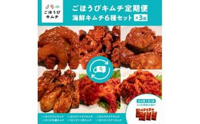 【定期便3回】ごほうびキムチ定期便（生赤エビ・イイダコ・牡蠣・ホタテ・イカゲソ・トリ貝）【 キムチ 神奈川県 小田原市 】 142069_FZ025