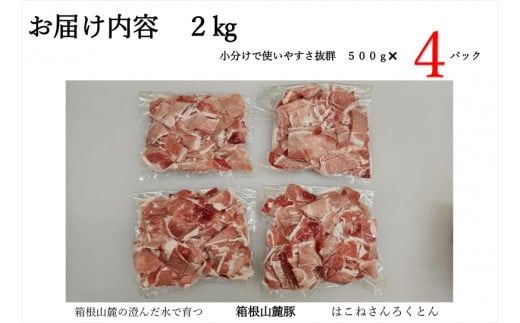 【定期便３ヵ月】箱根山麓豚　モモ・ウデ切り落とし２K盛り(500ｇ×４パック)【 箱根山麓豚 切り落とし 神奈川県 小田原市 】 142069_GC004