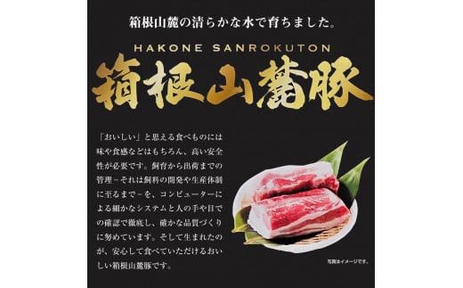 【定期便６ヵ月】箱根山麓豚　モモ・ウデ切り落とし２K盛り(500ｇ×４パック)【 箱根山麓豚 切り落とし 神奈川県 小田原市 】 142069_GC005