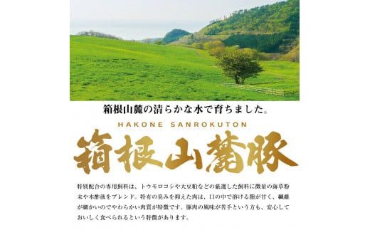 【定期便12ヵ月】箱根山麓豚　モモ・ウデ切り落とし２K盛り(500ｇ×４パック)【 箱根山麓豚 切り落とし 神奈川県 小田原市 】 142069_GC007