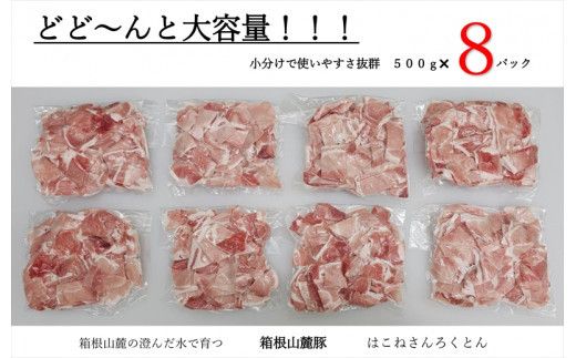 【定期便９ヵ月】箱根山麓豚　モモ・ウデ切り落とし４K盛り(500ｇ×８パック)【 箱根山麓豚 切り落とし 神奈川県 小田原市 】 142069_GC014