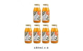 小田原産江之浦みかん１００％ストレートジュース１８０ml６本 142069_GJ002