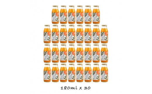 y_ސ쌧cszy 6z cY]VY݂POOXg[gW[XPWOmlRO{ 142069_GJ006