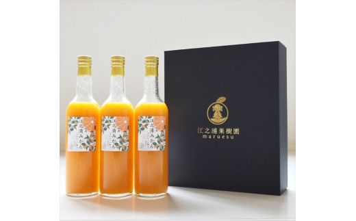 ギフトセット５００ml３本入り 小田原産江之浦みかん１００％ストレートジュース５００ml３本 142069_GJ015