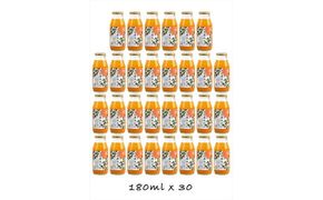 【定期便 （2カ月ごと全3回）】小田原産江之浦みかん１００％ストレートジュース１８０ml３０本 142069_GJ021