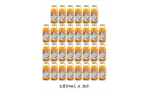 y_ސ쌧cszy i2JƑS6jzcY]VY݂POOXg[gW[XPWOmlRO{ 142069_GJ023