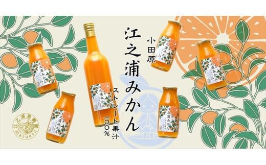 【定期便 （2カ月ごと全6回）】小田原産江之浦みかん１００％ストレートジュース１８０ml３０本 142069_GJ023