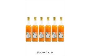 【定期便 （2カ月ごと全3回）】小田原産江之浦みかん１００％ストレートジュース５００ml６本 142069_GJ028