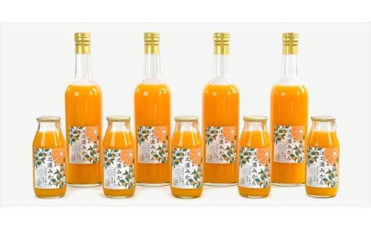 【定期便 （2カ月ごと全6回）】小田原産江之浦みかん１００％ストレートジュース５００ml６本 142069_GJ030