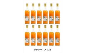 【定期便（2カ月ごと全3回）】小田原産江之浦みかん１００％ストレートジュース５００ml１２本 142069_GJ035