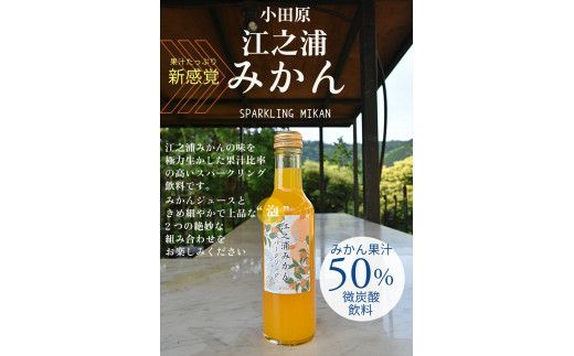 小田原産江之浦みかんスパークリング果汁入り飲料果汁５０％２００ml６本 142069_GJ041