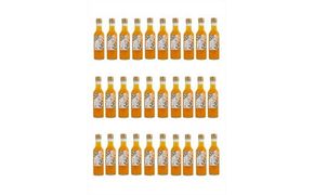 【定期便 9回】 小田原産江之浦みかんスパークリング果汁入り飲料果汁５０％２００ml３０本 142069_GJ047