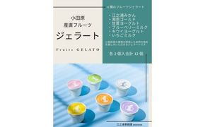 小田原産江之浦ジェラート６種（みかん、湘南ゴールド、ブルーベリーミルク、いちごミルク、キウイヨーグルト、甘夏ヨーグルト）120mlカップ各２個合計１２個 142069_GJ077