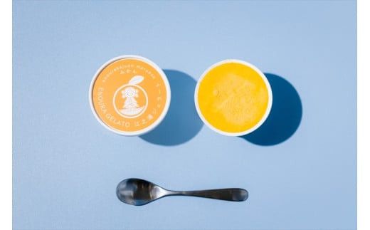 小田原産江之浦ジェラート６種（みかん、湘南ゴールド、ブルーベリーミルク、いちごミルク、キウイヨーグルト、甘夏ヨーグルト）120mlカップ各２個合計１２個 142069_GJ077