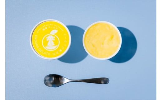 小田原産江之浦ジェラート６種（みかん、湘南ゴールド、ブルーベリーミルク、いちごミルク、キウイヨーグルト、甘夏ヨーグルト）120mlカップ各３個合計１８個 142069_GJ078