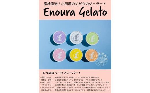 小田原産江之浦ジェラート６種（みかん、湘南ゴールド、ブルーベリーミルク、いちごミルク、キウイヨーグルト、甘夏ヨーグルト）120mlカップ各４個合計２４個 142069_GJ079