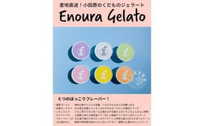 【定期便 9回】 小田原産江之浦ジェラート６種（みかん、湘南ゴールド、ブルーベリーミルク、いちごミルク、キウイヨーグルト、甘夏ヨーグルト）120mlカップ各１個合計６個 142069_GJ082