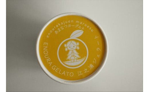 【定期便 9回】 小田原産江之浦ジェラート６種（みかん、湘南ゴールド、ブルーベリーミルク、いちごミルク、キウイヨーグルト、甘夏ヨーグルト）120mlカップ各１個合計６個 142069_GJ082
