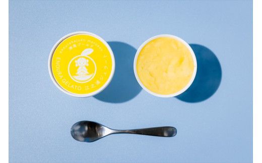 【定期便（2カ月ごと全6回）】小田原産江之浦ジェラート６種（みかん、湘南ゴールド、ブルーベリーミルク、いちごミルク、キウイヨーグルト、甘夏ヨーグルト）120mlカップ各１個合計６個 142069_GJ085