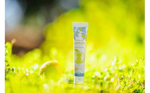 小田原 片浦レモンハンドクリーム１２個 142069_GJ099