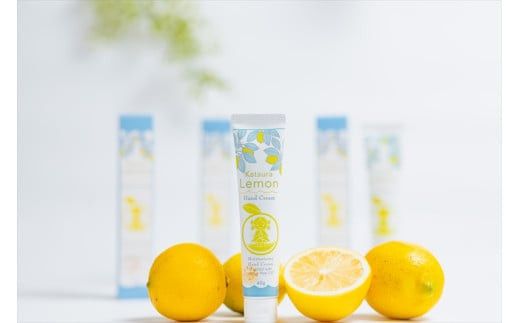 小田原 片浦レモンハンドクリーム１２個 142069_GJ099