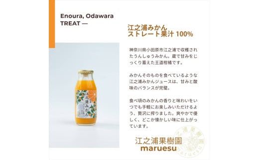 小田原産江之浦みかんジュース５種のみくらべ１０本セット うんしゅう・しらぬい・ゴールデン・なつみ・バレンシアオレンジ１００％ストレートジュース１８０ml各２本合計１０本 142069_GJ100