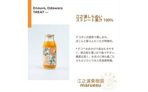 小田原産江之浦みかんジュース５種のみくらべ１０本セット うんしゅう・しらぬい・ゴールデン・なつみ・バレンシアオレンジ１００％ストレートジュース１８０ml各２本合計１０本 142069_GJ100
