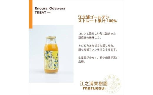 小田原産江之浦みかんジュース５種のみくらべ１０本セット うんしゅう・しらぬい・ゴールデン・なつみ・バレンシアオレンジ１００％ストレートジュース１８０ml各２本合計１０本 142069_GJ100