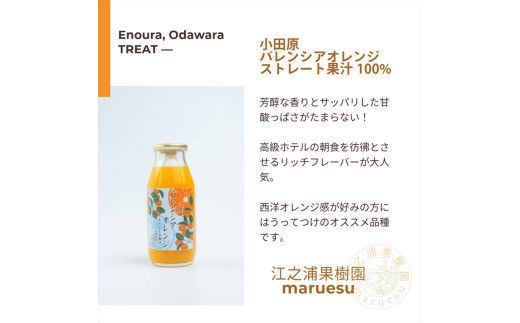 小田原産江之浦みかんジュース５種のみくらべ１０本セット うんしゅう・しらぬい・ゴールデン・なつみ・バレンシアオレンジ１００％ストレートジュース１８０ml各２本合計１０本 142069_GJ100