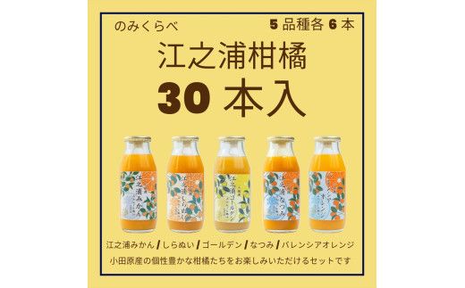 小田原産江之浦みかんジュース５種のみくらべ３０本セット うんしゅう・しらぬい・ゴールデン・なつみ・バレンシアオレンジ１００％ストレートジュース１８０ml各６本合計３０本 142069_GJ102