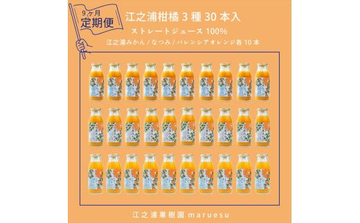 【定期便 9回】 小田原産江之浦みかんジュース３種のみくらべ３０本セット うんしゅう・なつみ・バレンシアオレンジ１００％ストレートジュース１８０ml各１０本合計３０本 142069_GJ105