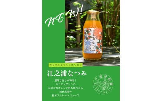【定期便 9回】 小田原産江之浦みかんジュース３種のみくらべ３０本セット うんしゅう・なつみ・バレンシアオレンジ１００％ストレートジュース１８０ml各１０本合計３０本 142069_GJ105