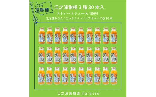 【定期便 12回】 小田原産江之浦みかんジュース３種のみくらべ３０本セット うんしゅう・なつみ・バレンシアオレンジ１００％ストレートジュース１８０ml各１０本合計３０本 142069_GJ106