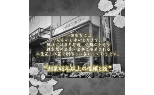 【“48年以上の信頼と技”詳しくは画像をお読みください】選べるお供え・お悔やみ・法要【 花 お花 神奈川県 小田原市 】 142069_GL006