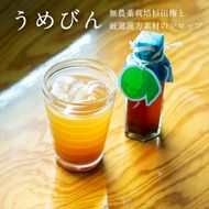 濃厚梅エキスと漢方のシロップ「うめびん（杉田梅） by Kampo Kitchen」【 家庭用 自宅用 贈答品 贈答用 ギフト お取り寄せ お中元 お歳暮 贈り物 お祝い 神奈川県 小田原市 】 142069_GM001