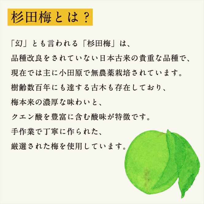 濃厚梅エキスと漢方のシロップ「うめびん（杉田梅） by Kampo Kitchen」【 家庭用 自宅用 贈答品 贈答用 ギフト お取り寄せ お中元 お歳暮 贈り物 お祝い 神奈川県 小田原市 】 142069_GM001