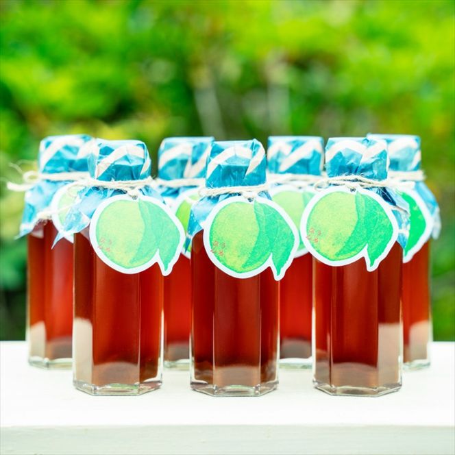 【３本セット】濃厚梅エキスと漢方のシロップ「うめびん（杉田梅） by Kampo Kitchen」【 家庭用 自宅用 贈答品 贈答用 ギフト お取り寄せ お中元 お歳暮 贈り物 お祝い 神奈川県 小田原市 】 142069_GM002