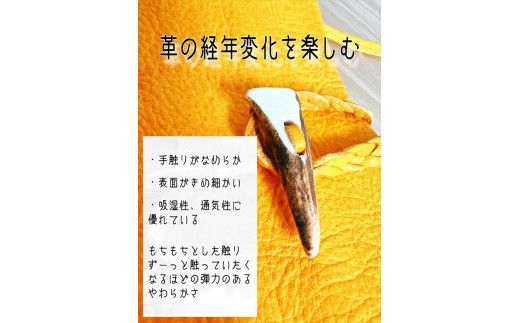 鹿の角ボタンのウォーカーズサコッシュ(ブルー)【 神奈川県 小田原市 】 142069_GN010VC02