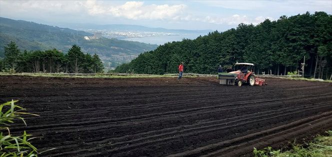 小田原・箱根唯一のそば畑から　小田原北条そば　乾麺　蕎麦生粉3割　200ｇ×20袋 【 そば 家庭用 自宅用 贈答品 贈答用 ギフト お取り寄せ 御中元 お中元 お歳暮 贈り物 SOBA 蕎麦 麺 メン めん 神奈川県 小田原市 】 142069_GQ006