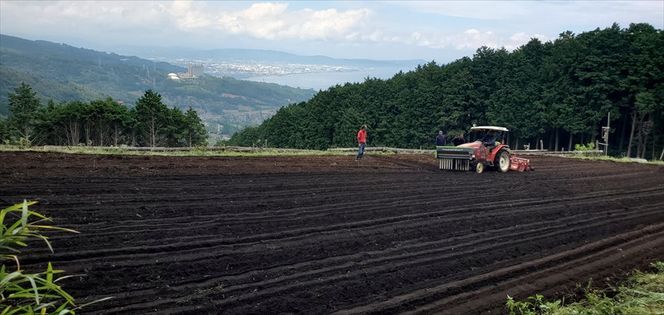 小田原・箱根唯一のそば畑から　小田原北条そば　贈呈用  生粉5割　200ｇ×5袋   生粉３割　200ｇ×5袋 そばつゆ【 そば 家庭用 自宅用 贈答品 贈答用 ギフト お取り寄せ 御中元 お中元 お歳暮 贈り物 SOBA 蕎麦 麺 メン めん 神奈川県 小田原市 】 142069_GQ007