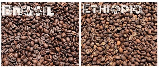 スペシャルティコーヒー 飲み比べセット【ドリップパック】 6種×4（２４個）【 コーヒー 神奈川県 小田原市 】 142069_GS003