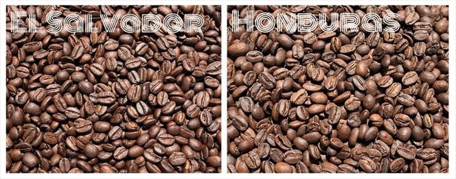 スペシャルティコーヒー 飲み比べセット【ドリップパック】 6種×4（２４個）【 コーヒー 神奈川県 小田原市 】 142069_GS003