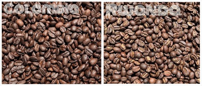 スペシャルティコーヒー 飲み比べセット【ドリップパック】 6種×4（２４個）【 コーヒー 神奈川県 小田原市 】 142069_GS003