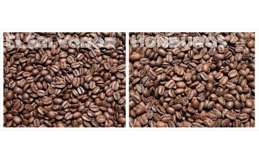 スペシャルティコーヒー 飲み比べセット【豆】 （１００g×６個）【 コーヒー 神奈川県 小田原市 】 142069_GS004VC01