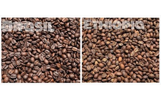 スペシャルティコーヒー 飲み比べセット【豆】 （５０g×６個）【 コーヒー 神奈川県 小田原市 】 142069_GS005VC01