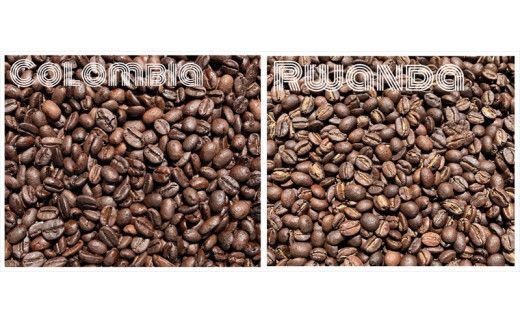 スペシャルティコーヒー 飲み比べセット【粉】 （５０g×６個）【 コーヒー 神奈川県 小田原市 】 142069_GS005VC02