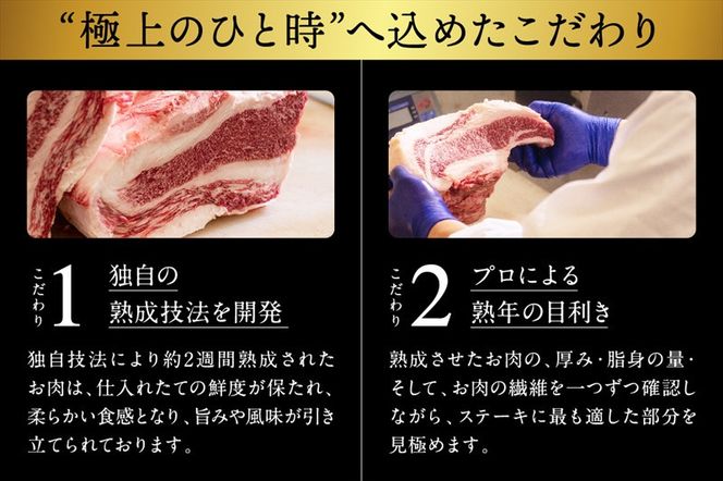 神奈川県産和牛 阿夫利牛のステーキ 600g【 牛肉 和牛 神奈川県 小田原市 】 142069_GV001