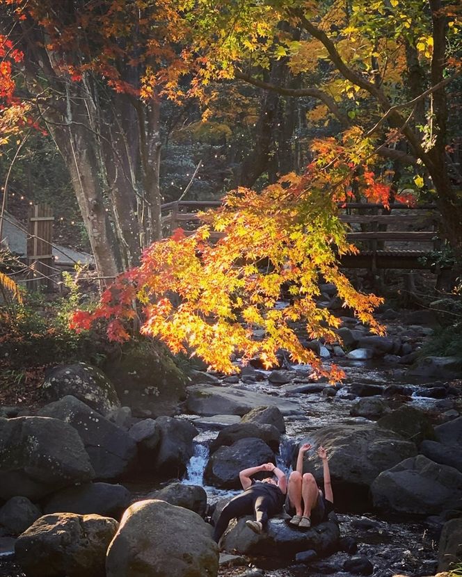 地産地消の銭湯みたいなテントサウナ「公衆アウトドアサウナ ノサウナ ODAWARA」の1日利用券【 サウナ 神奈川県 小田原市 】 142069_GX001
